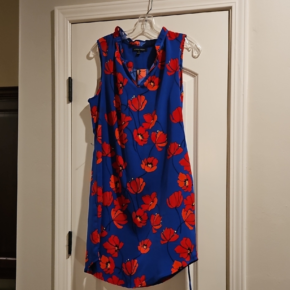 41 Hawthorn Blue and Red Floral Mini Dress